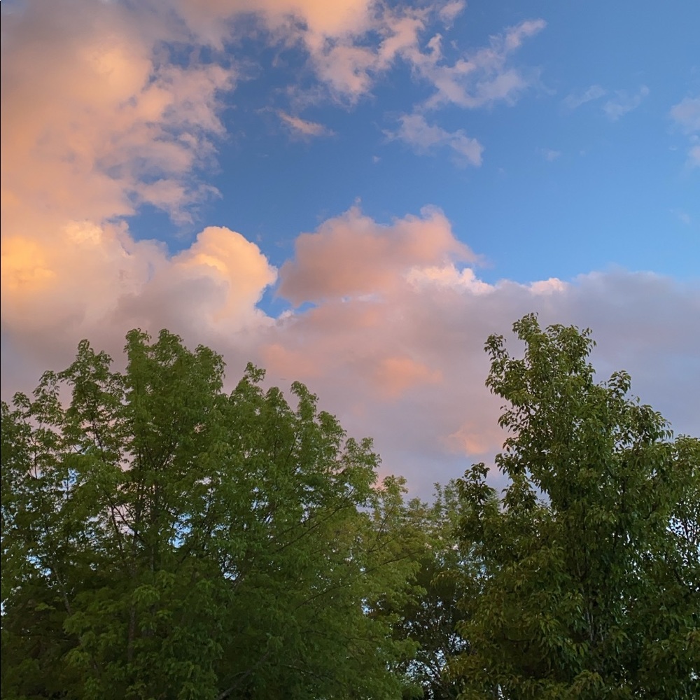 Meet your Posher, Kendall